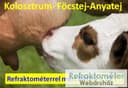 RHB-32SG ATC refraktometer za kolostrum